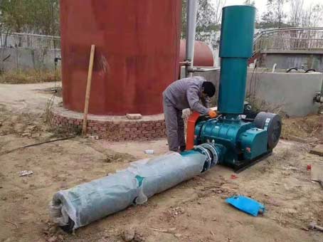 羅茨鼓風機發(fā)出異響的原因是什么？